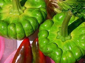 姜柄瓜几月吃,姜柄瓜最佳食用月份概述